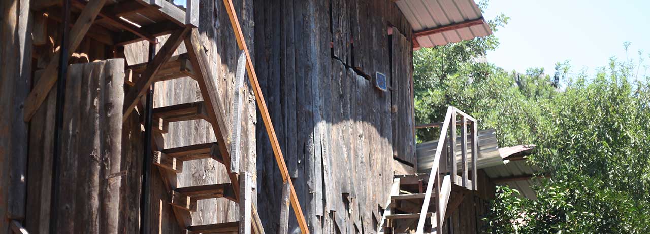 olympos ağaç ev
